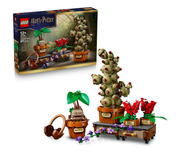 LEGO HARRY POTTER 76474 Rośliny z lekcji zielarstwa w Hogwarcie - 1529861 - zdjęcie 2